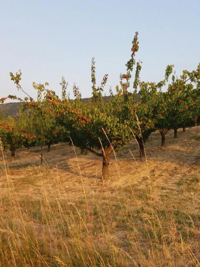 Gite Les Trois Abeilles Besignan Екстер'єр фото